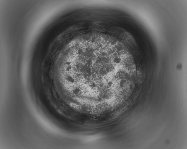 X0000096730765200803041223