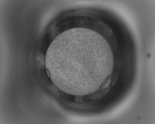 X0000096730766200803041223
