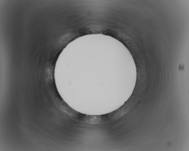 X0000096730768200803041223