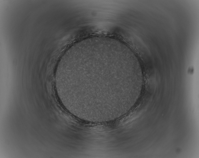 X0000096730769200803041222