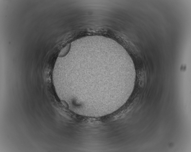 X0000096730770200803041222