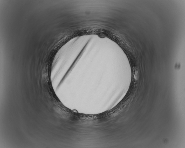 X0000096730771200803041222