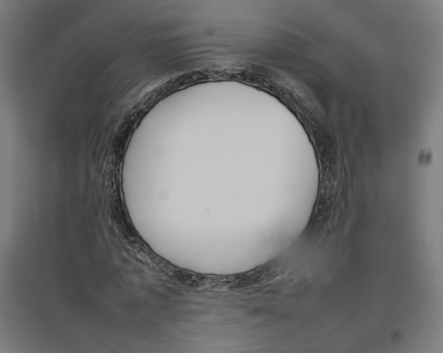 X0000096730773200803041222