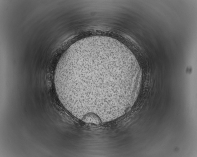 X0000096730774200803041222