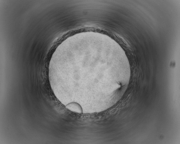 X0000096730776200803041222