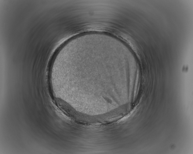X0000096730779200803041222
