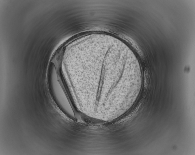 X0000096730780200803041222