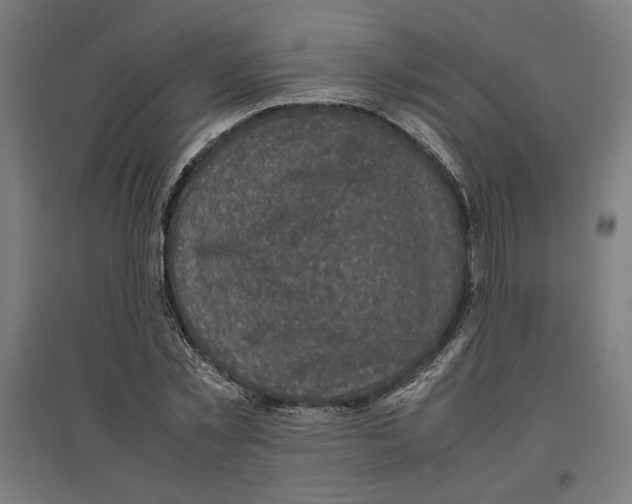 X0000096730781200803041222