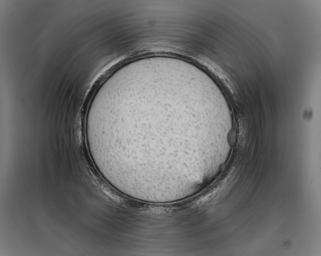X0000096730782200803041222