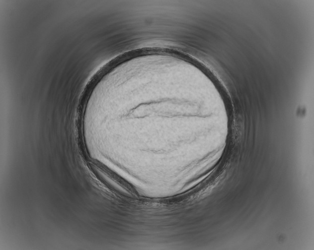 X0000096730783200803041222