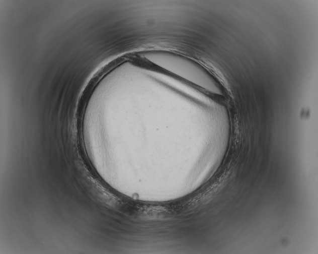X0000096730784200803041222