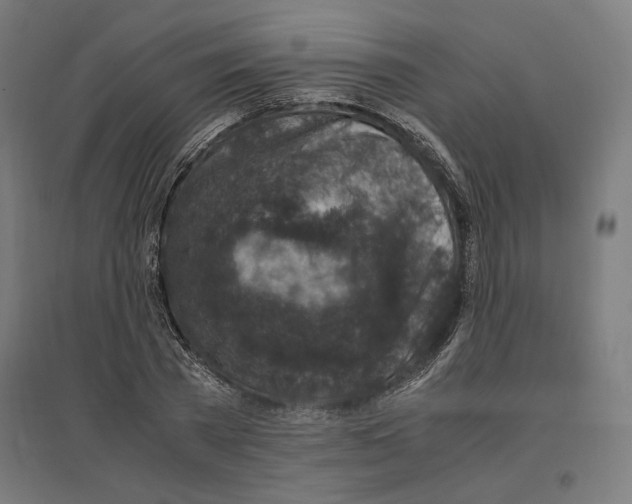 X0000096730785200803041222