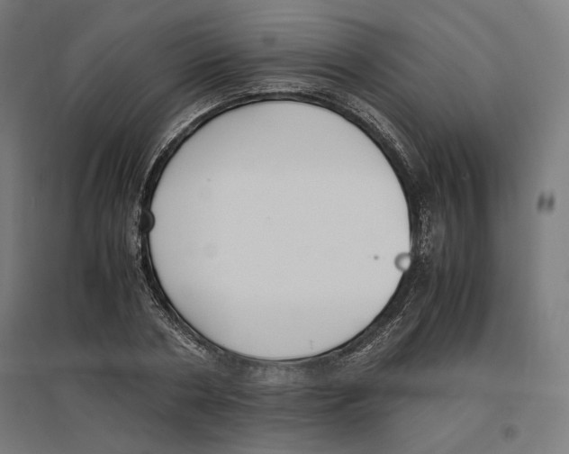 X0000096730786200803041222