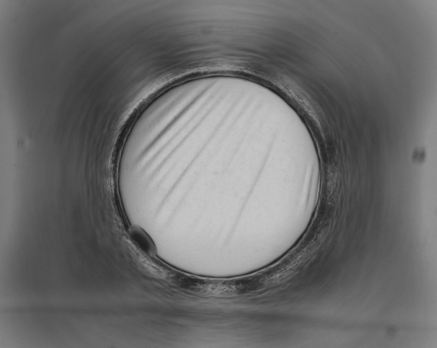 X0000096730789200803041222