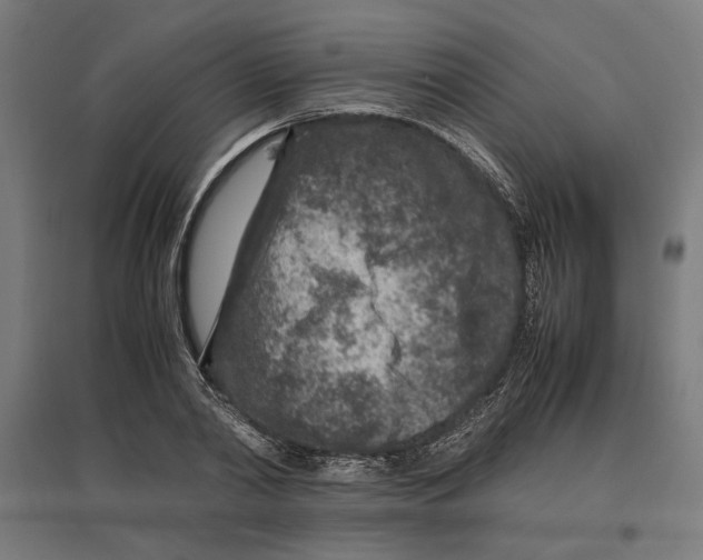 X0000096730790200803041222