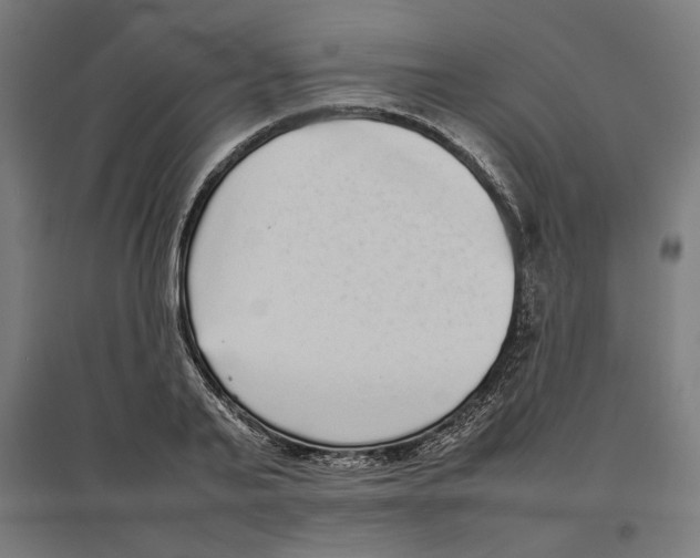 X0000096730791200803041222