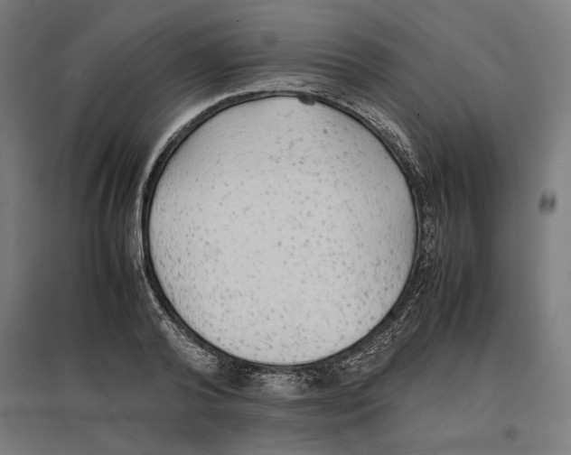 X0000096730792200803041222