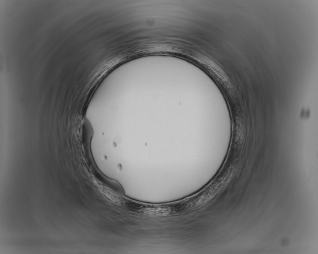 X0000096730793200803041222