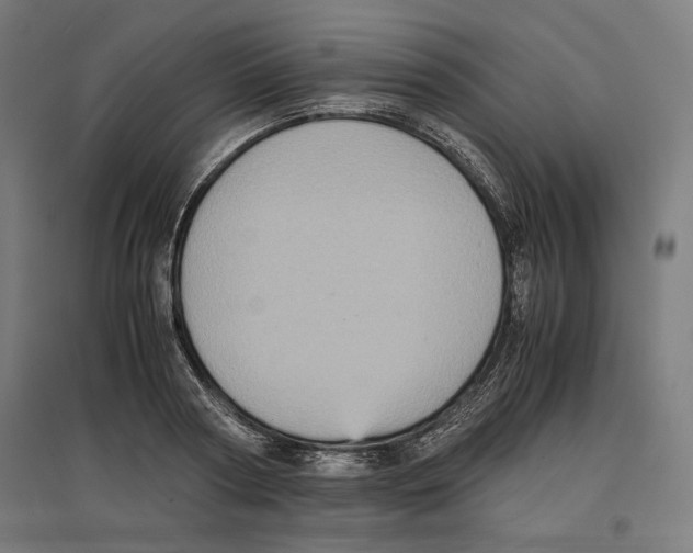 X0000096730794200803041222