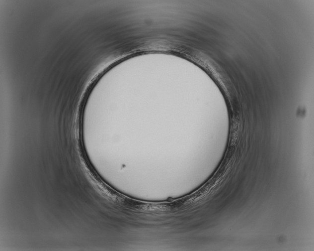 X0000096730795200803041222