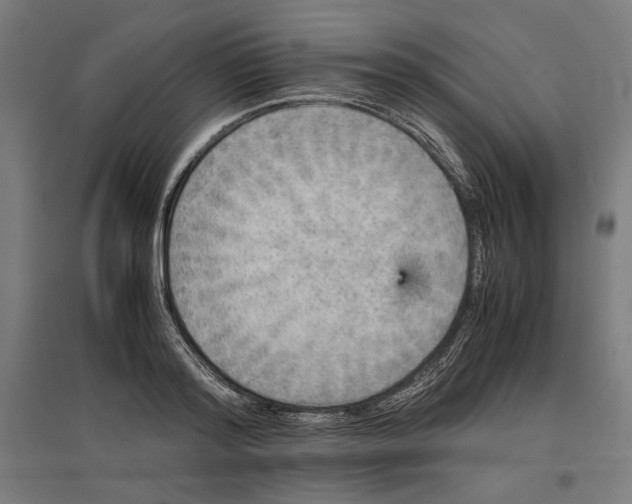 X0000096730796200803041222