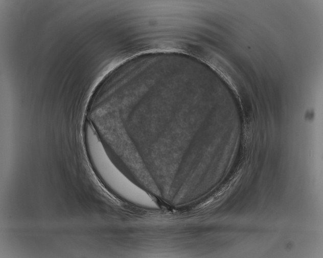 X0000096730797200803041222