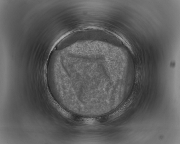 X0000096730798200803041222