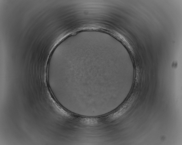 X0000096730802200803041221