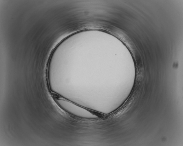 X0000096730803200803041221