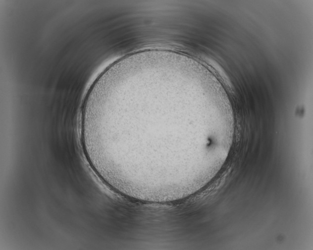 X0000096730804200803041221