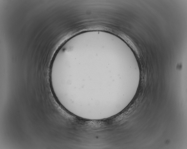 X0000096730805200803041221