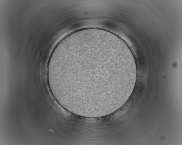 X0000096730807200803041221