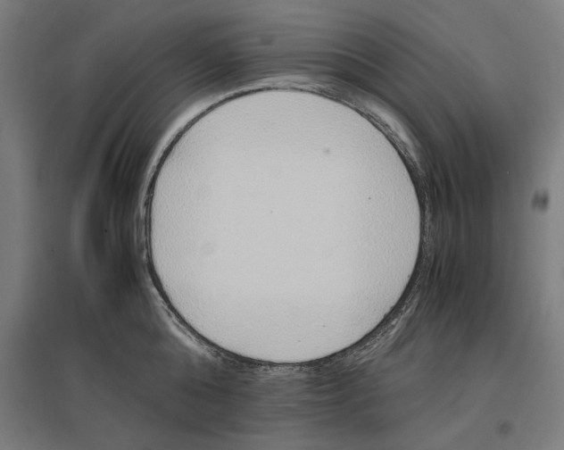 X0000096730808200803041221
