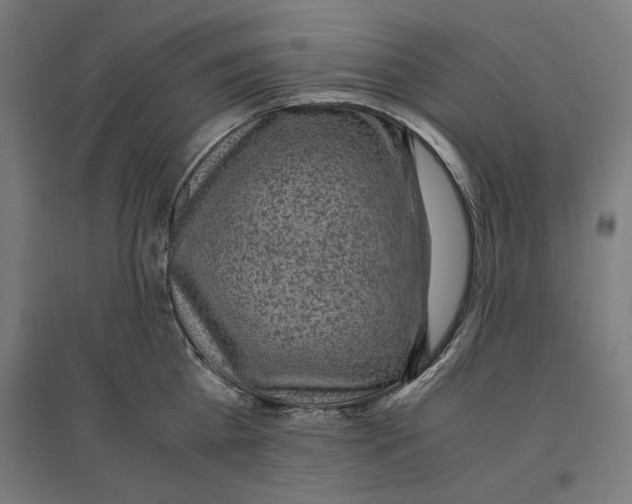 X0000096730809200803041221