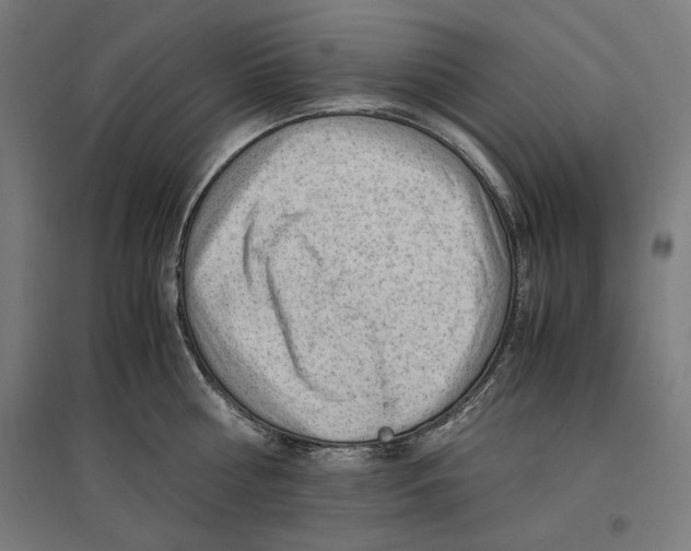 X0000096730810200803041221