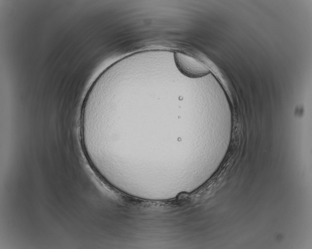 X0000096730811200803041221