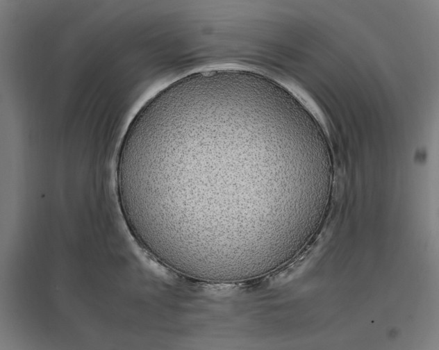 X0000096730813200803041221