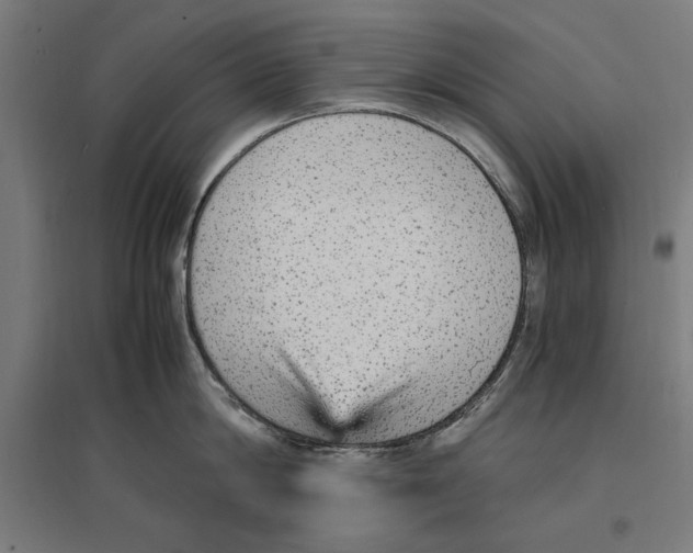 X0000096730814200803041221