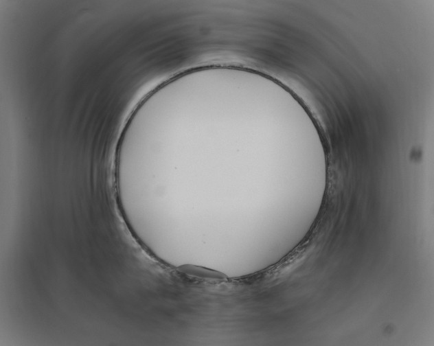 X0000096730815200803041221
