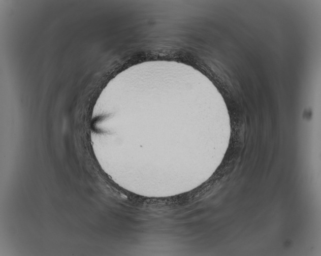 X0000096730817200803041221