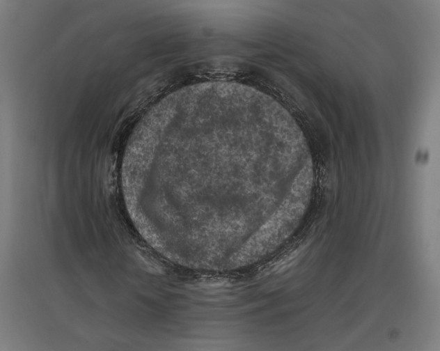 X0000096730818200803041221