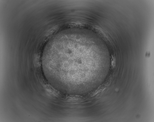 X0000096730819200803041221