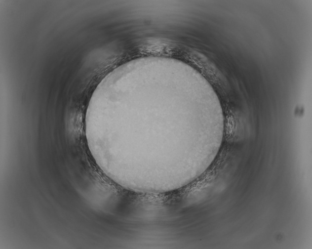X0000096730820200803041221
