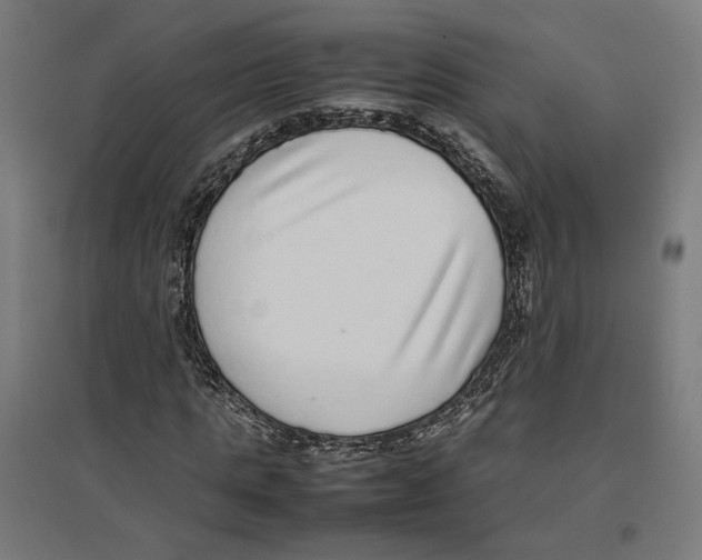 X0000096730821200803041221