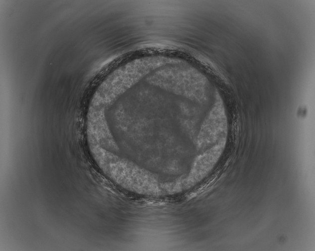 X0000096730822200803041221