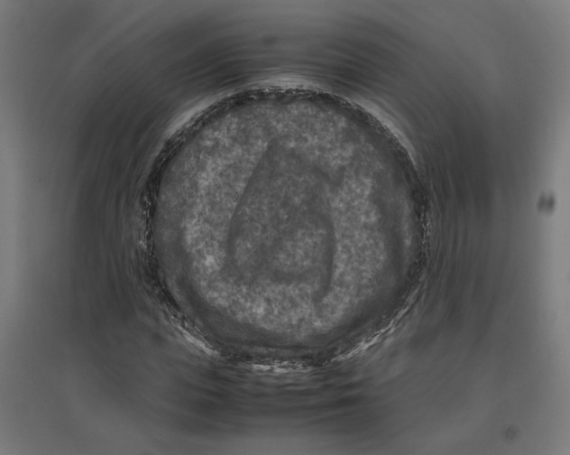 X0000096730823200803041221