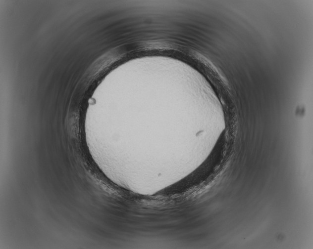 X0000096730825200803041221