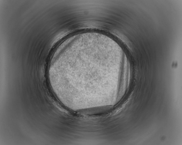 X0000096730826200803041221