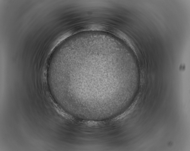 X0000096730827200803041221