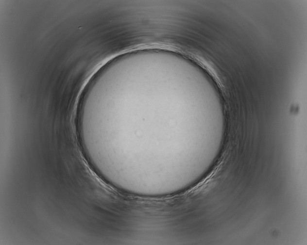 X0000096730828200803041221